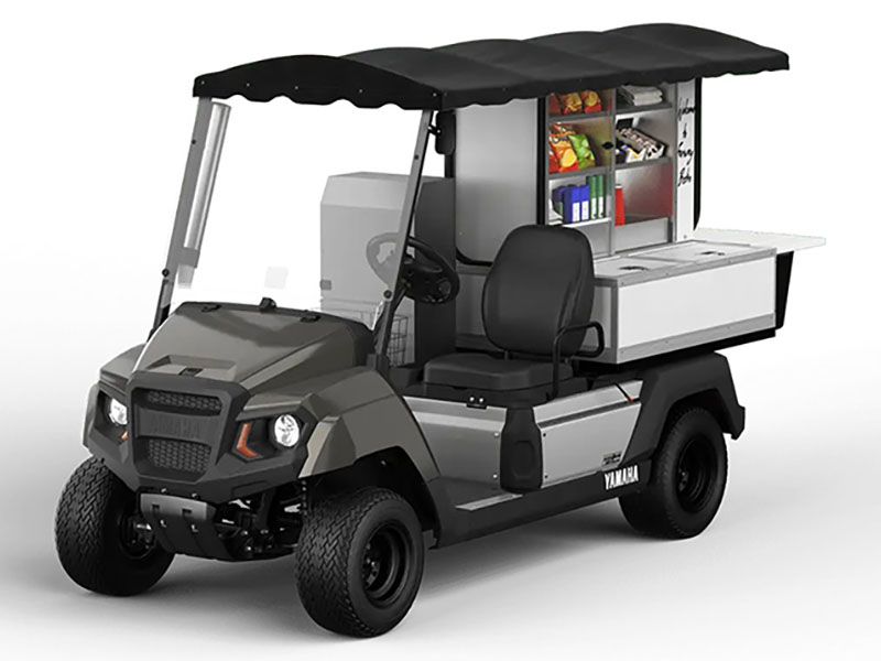 2025 Yamaha UMAX Bistro EFI in Anderson, Indiana - Photo 4