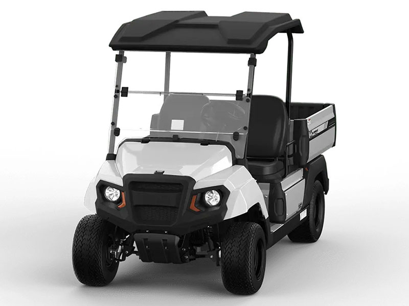 2025 Yamaha UMAX EFI in Enfield, Connecticut - Photo 2
