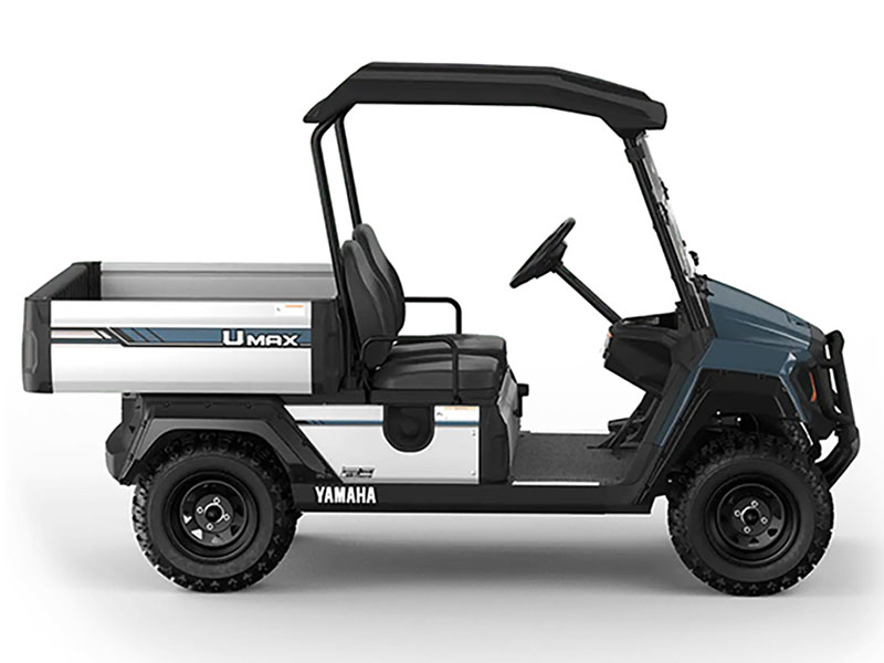2025 Yamaha UMAX Two Rally EFI in Anderson, Indiana - Photo 2