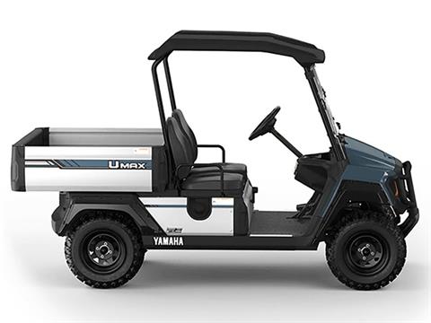 2025 Yamaha UMAX Two Rally EFI in Anderson, Indiana - Photo 2