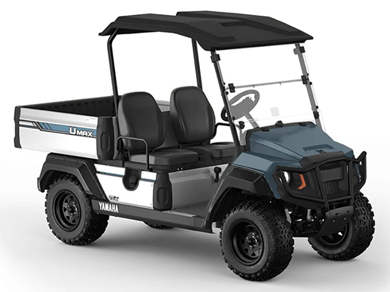 2025 Yamaha UMAX Two Rally EFI in Anderson, Indiana - Photo 3