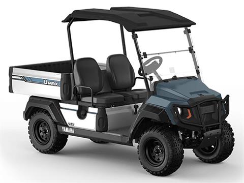 2025 Yamaha UMAX Two Rally EFI in Anderson, Indiana - Photo 3