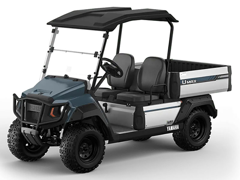 2025 Yamaha UMAX Two Rally EFI in Anderson, Indiana - Photo 4