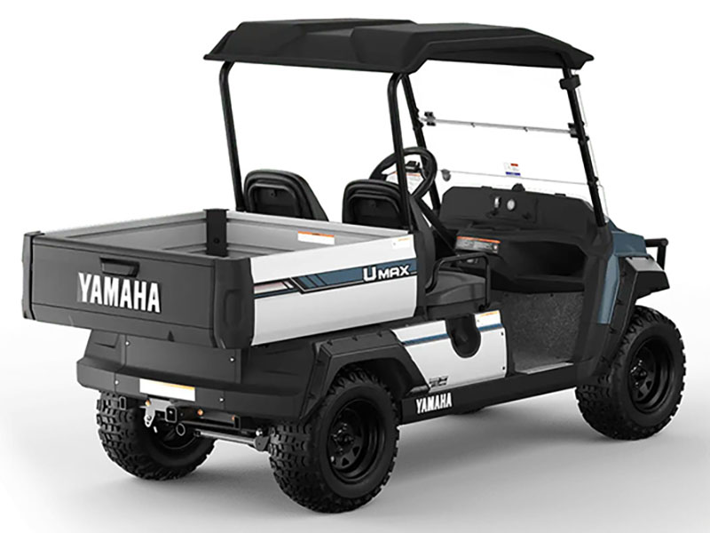 2025 Yamaha UMAX Two Rally EFI in Anderson, Indiana - Photo 6