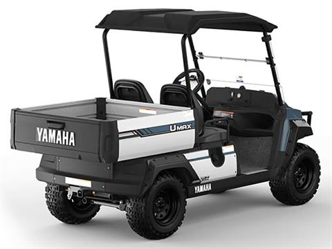2025 Yamaha UMAX Two Rally EFI in Anderson, Indiana - Photo 6