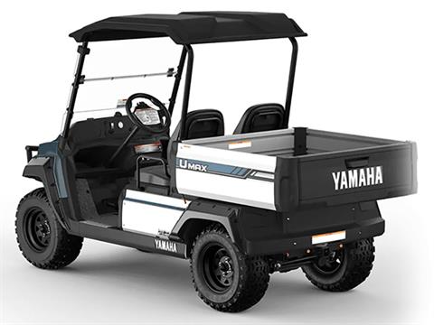 2025 Yamaha UMAX Two Rally EFI in Anderson, Indiana - Photo 7