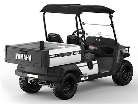 2025 Yamaha UMAX Two Rally EFI in Anderson, Indiana - Photo 6