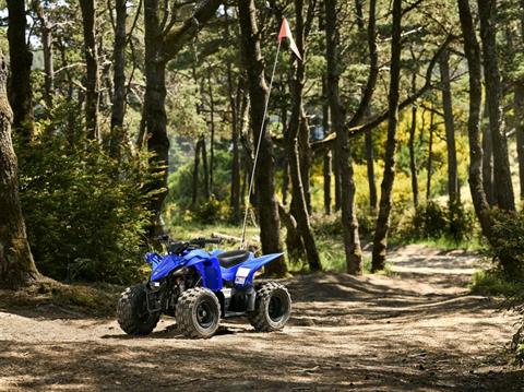 2026 Yamaha YFZ50 in Enfield, Connecticut - Photo 10