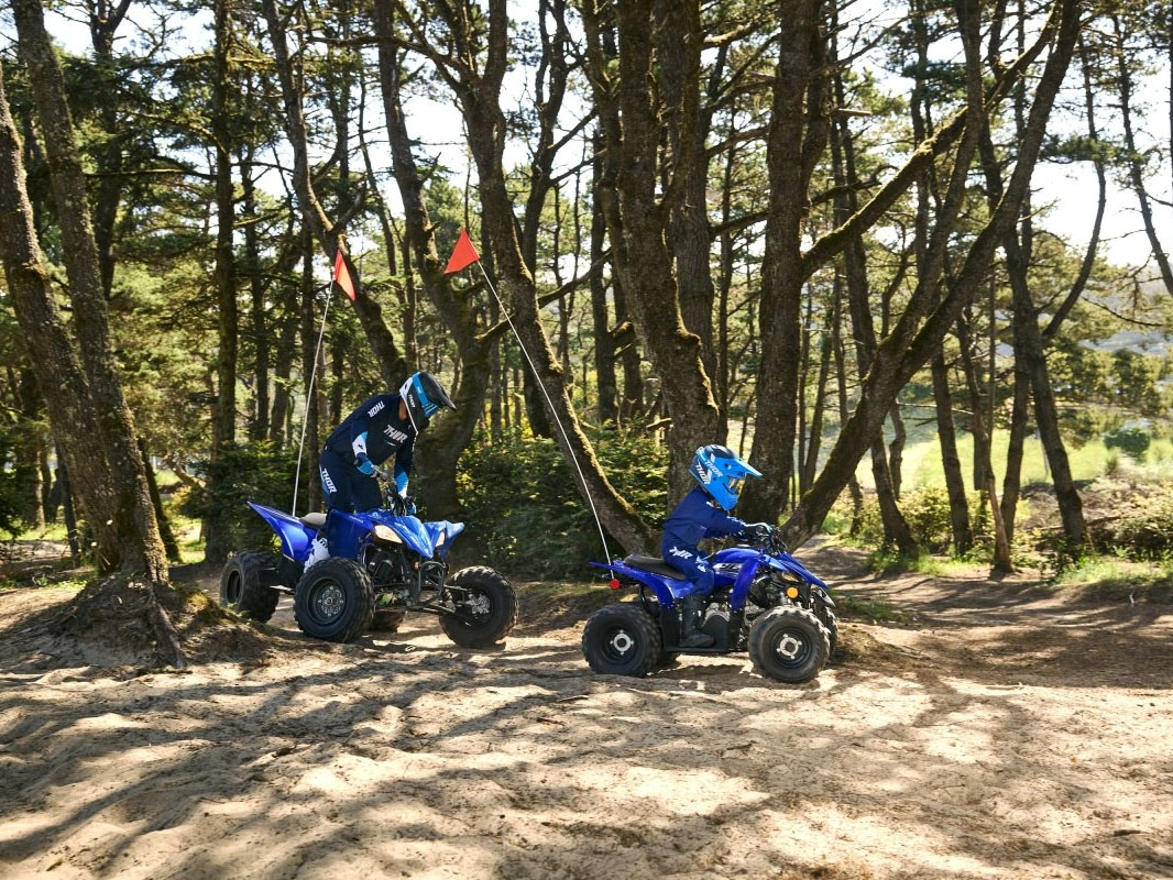 2026 Yamaha YFZ50 in Enfield, Connecticut - Photo 14