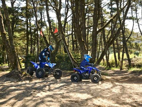 2026 Yamaha YFZ50 in Enfield, Connecticut - Photo 14
