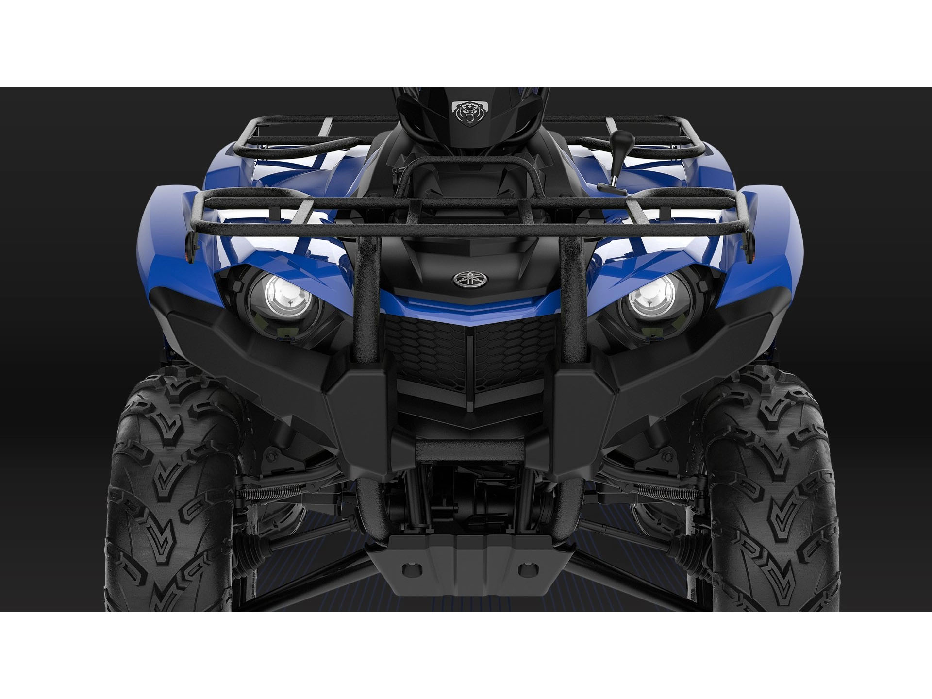 2026 Yamaha Kodiak 450 in Saint Maries, Idaho - Photo 9