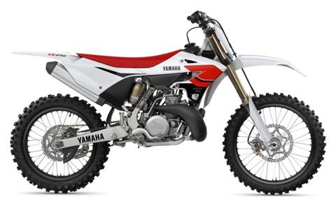 2026 Yamaha YZ250 70th Anniversary Edition in Cambridge, Ohio