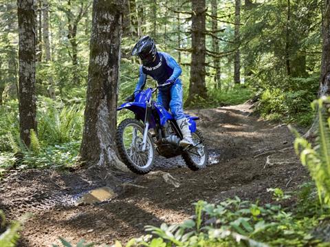 2026 Yamaha TT-R230 in Honey Brook, Pennsylvania - Photo 15