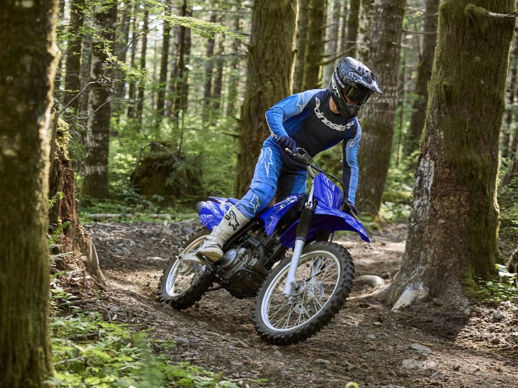 2026 Yamaha TT-R230 in Cambridge, Ohio - Photo 12