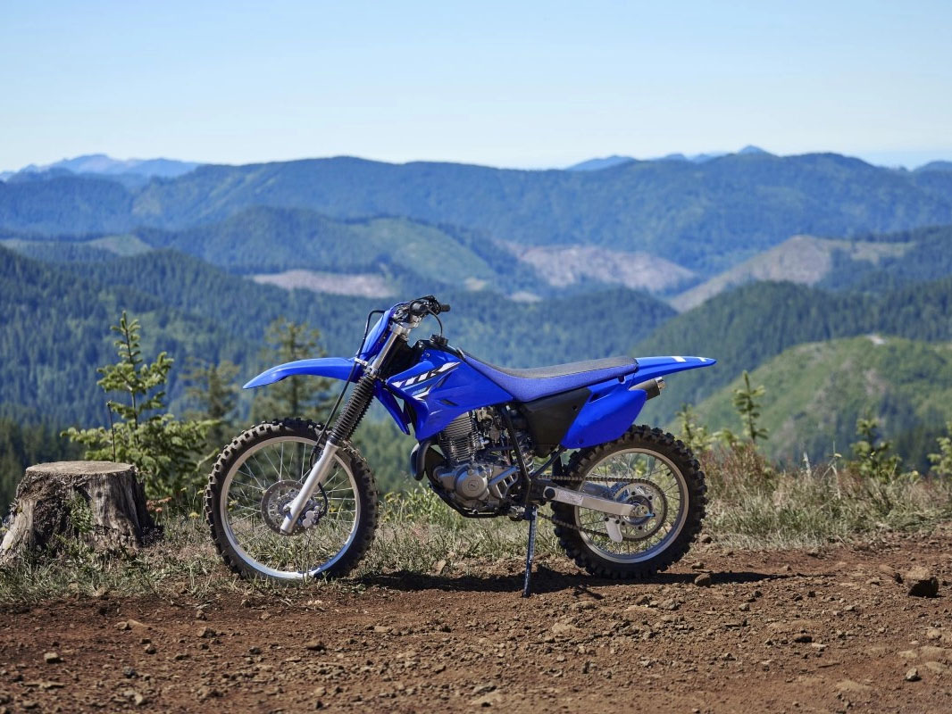 2026 Yamaha TT-R230 in Cambridge, Ohio - Photo 17