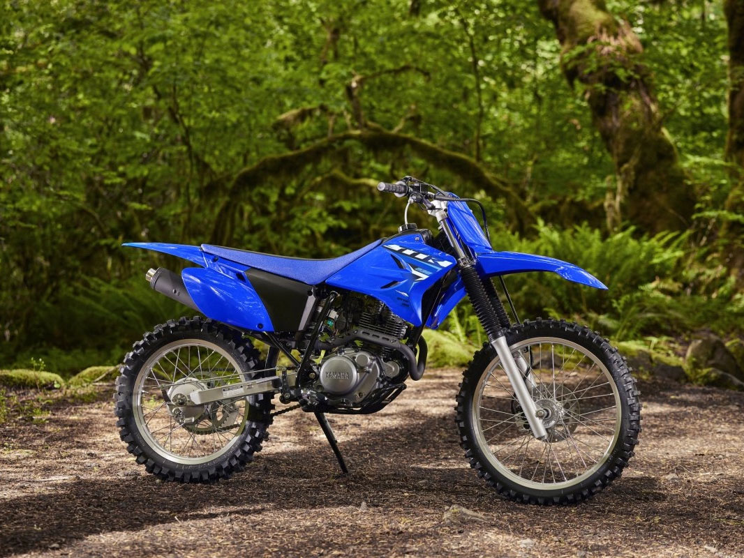 2026 Yamaha TT-R230 in Cambridge, Ohio - Photo 19