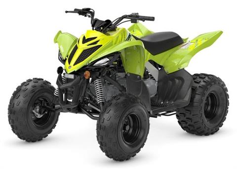 2027 Yamaha Raptor 110 in Fairview, Utah - Photo 4