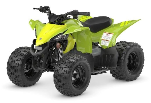 2027 Yamaha YFZ50 in Fairview, Utah - Photo 4