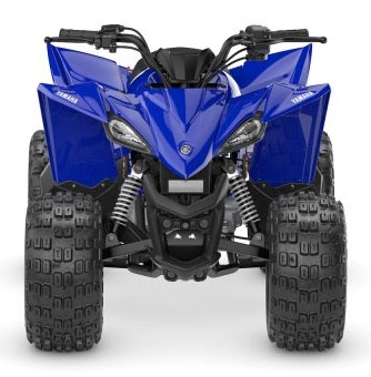 2027 Yamaha YFZ50 in Fairview, Utah - Photo 5