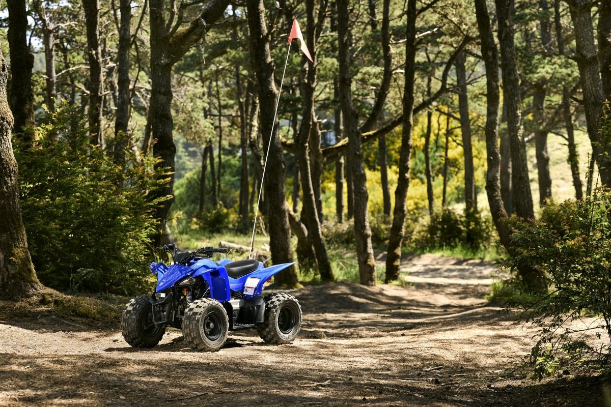 2027 Yamaha YFZ50 in Fairview, Utah - Photo 11