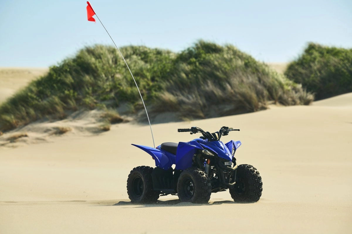 2027 Yamaha YFZ50 in Fairview, Utah - Photo 15