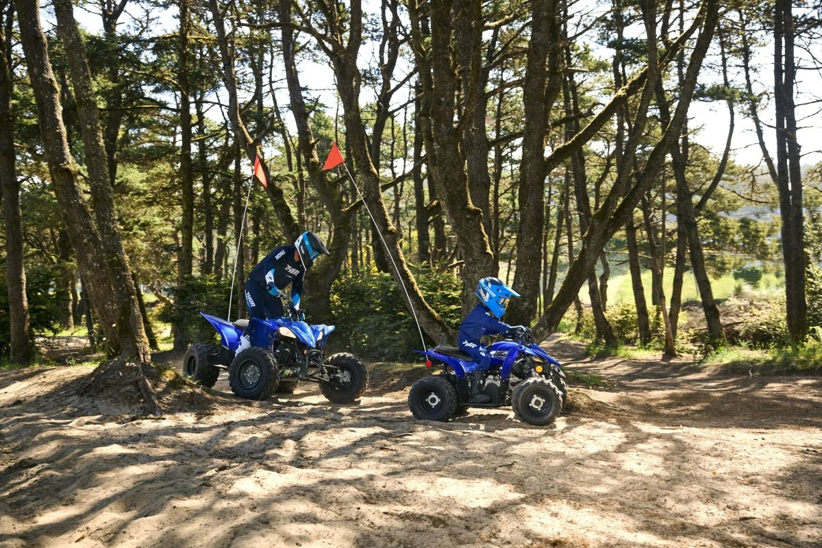 2027 Yamaha YFZ50 in Fairview, Utah - Photo 16