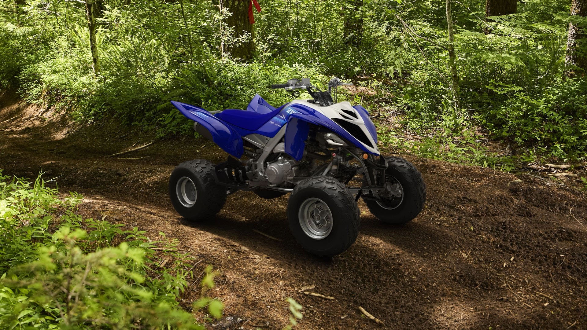 2027 Yamaha Raptor 700R in Fairview, Utah - Photo 13