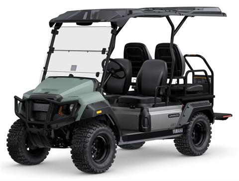 2027 Yamaha UMAX Rally 2+2 EFI in Saint Joseph, Minnesota - Photo 4