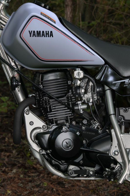 2027 Yamaha TW200 11