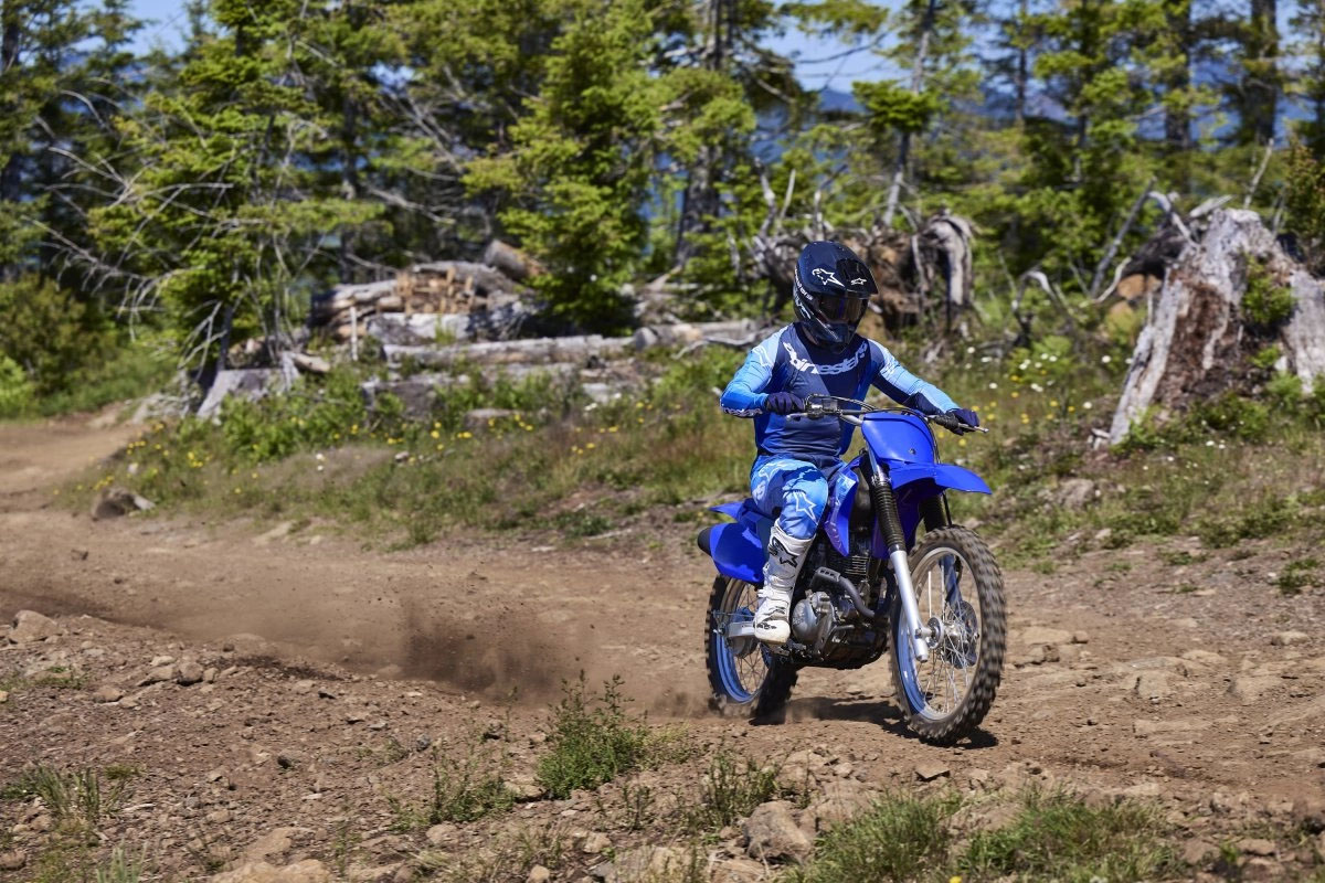 2027 Yamaha TT-R230 12