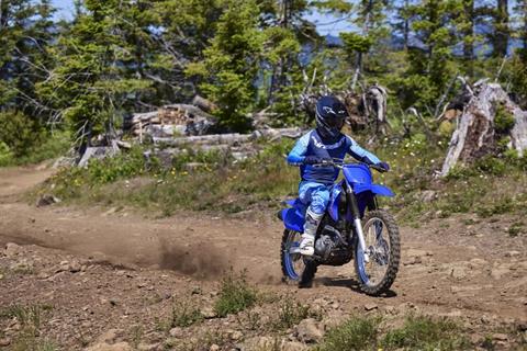 2027 Yamaha TT-R230 Motorcycles Danbury Connecticut