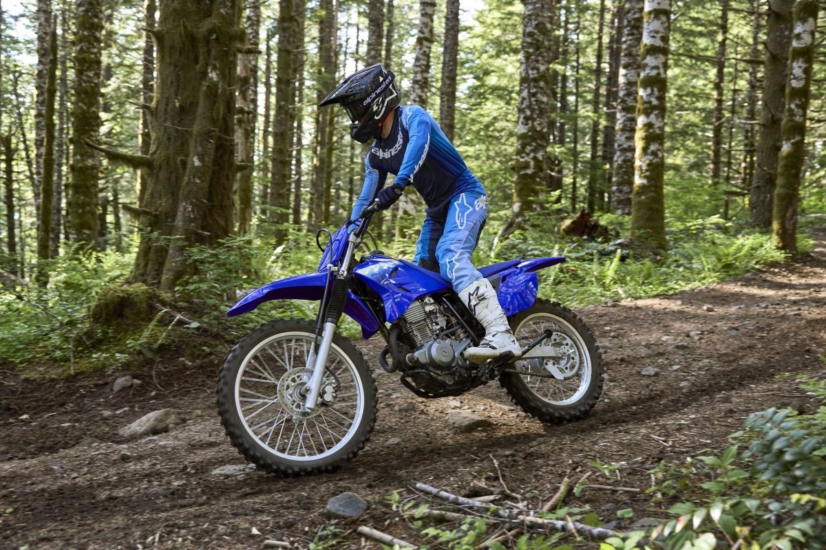 2027 Yamaha TT-R230 in Tuscaloosa, Alabama - Photo 13
