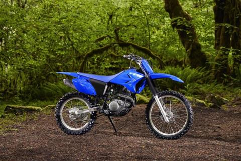 2027 Yamaha TT-R230 | Motorcycles, Lockport IL near Chicago
