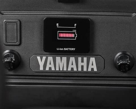 2027 Yamaha UMAX Rally Sport Li in Saint Joseph, Minnesota - Photo 9