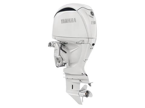 Yamaha F150 In-Line 4 25 in. DEC Counter Rotation in Pine Bluff, Arkansas - Photo 4