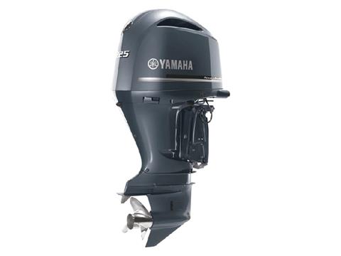 Yamaha F225 4.2L V6 Offshore 25 in. in Pine Bluff, Arkansas - Photo 3