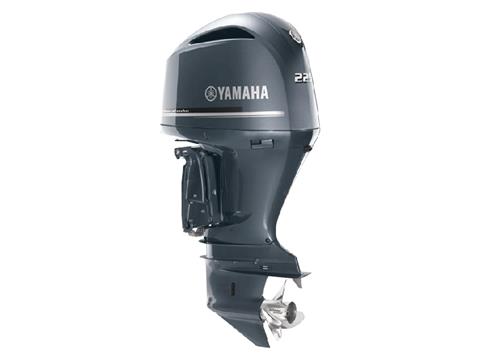 Yamaha F225 4.2L V6 Offshore 25 in. in Pine Bluff, Arkansas - Photo 4