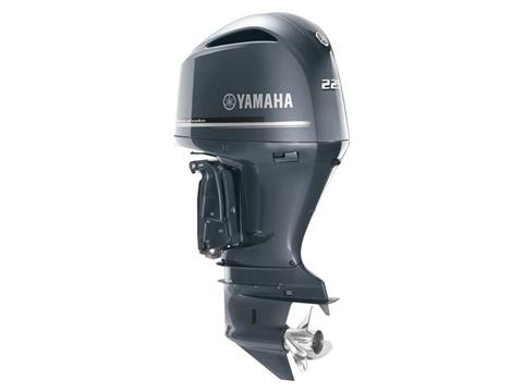 Yamaha F225 4.2L V6 Offshore 25 in. in Pine Bluff, Arkansas - Photo 4