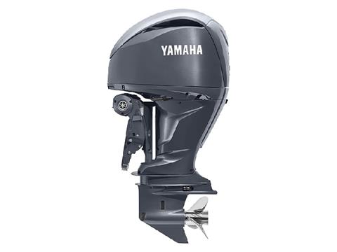 Yamaha F250 4.2L V6 Offshore 25 in. Mechanical in Pine Bluff, Arkansas - Photo 2