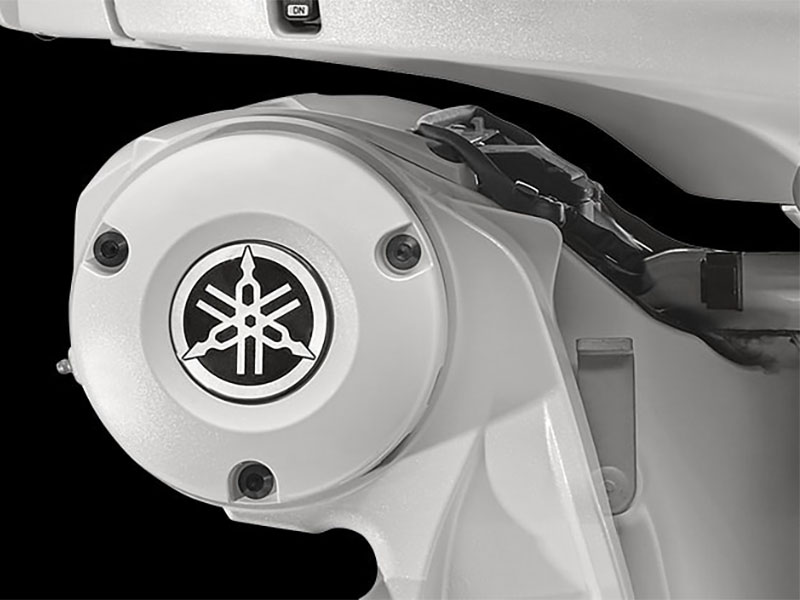 Yamaha F250 4.2L V6 Offshore w/ DES 30 in. DEC in Pine Bluff, Arkansas - Photo 6