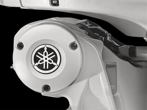 Yamaha F250 4.2L V6 Offshore w/ DES 30 in. DEC in Pine Bluff, Arkansas - Photo 6