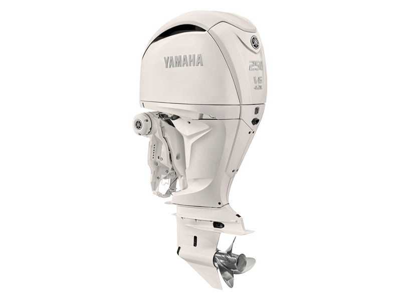 Yamaha F250 4.2L V6 Offshore w/ DES 25 in. DEC L Rotation in Pine Bluff, Arkansas - Photo 4