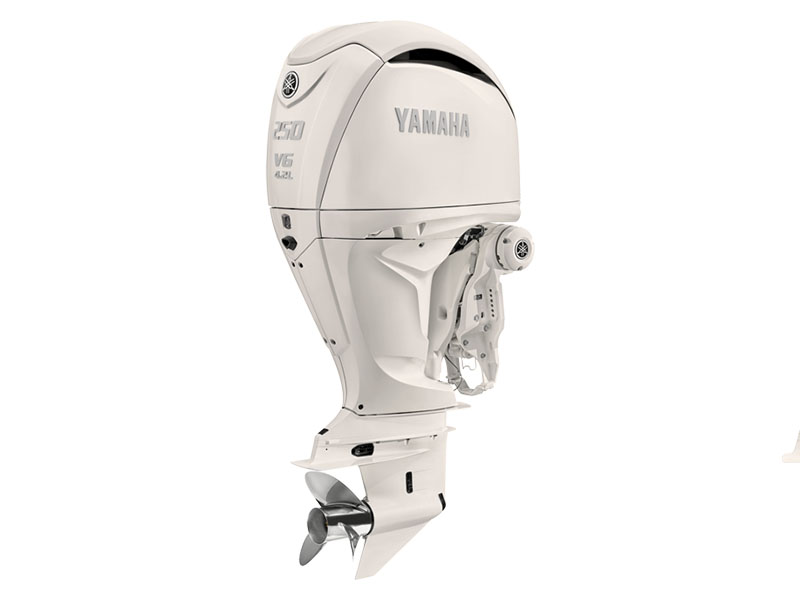 Yamaha F250 4.2L V6 Offshore w/ DES 35 in. DEC R Rotation in Pine Bluff, Arkansas - Photo 3