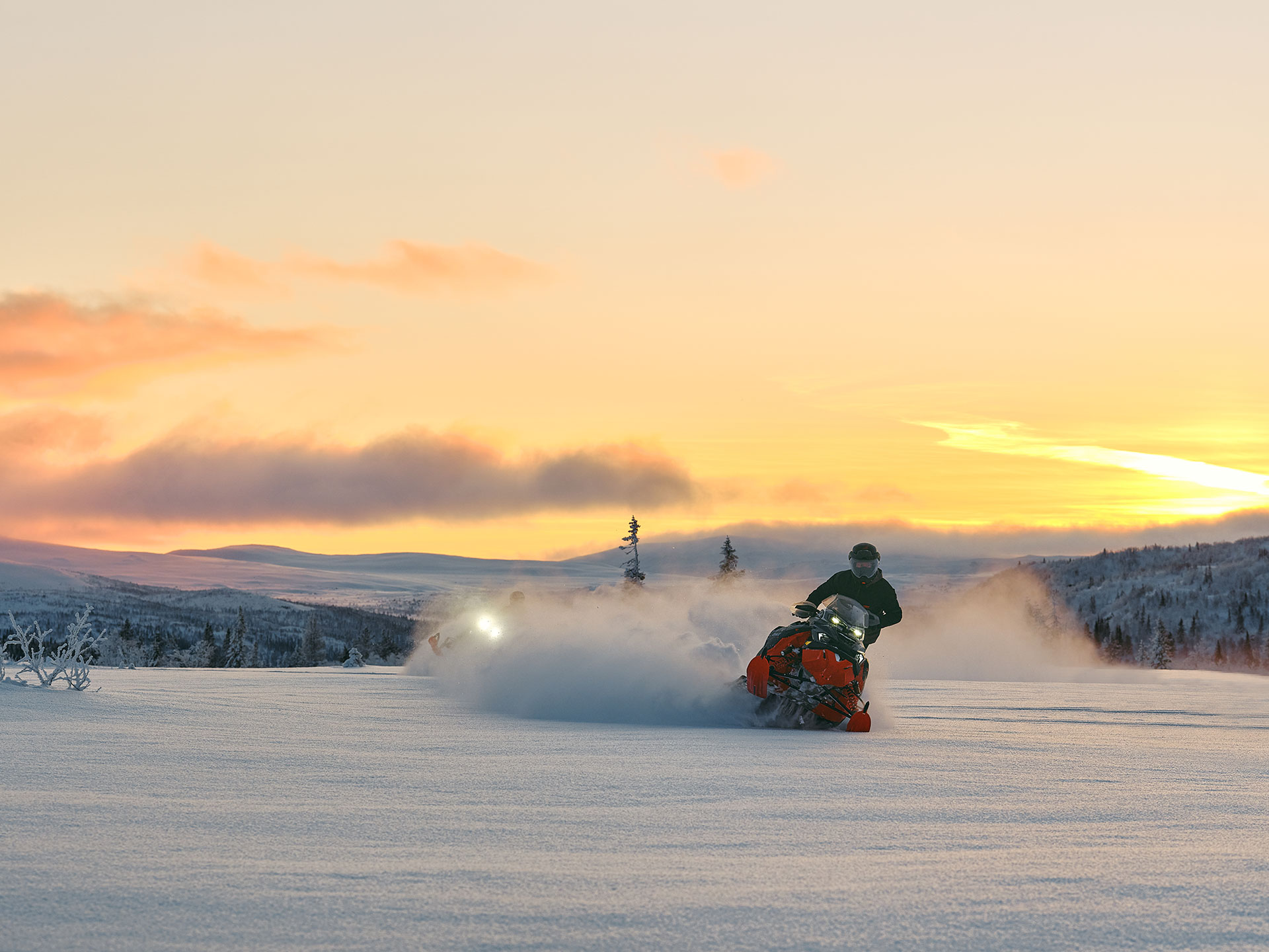 パイロゲン 12本　2026.5.26 パイロゲン 12本 2026.2.7 パイロゲン 12本 2026.2.7 パイロゲン 12本