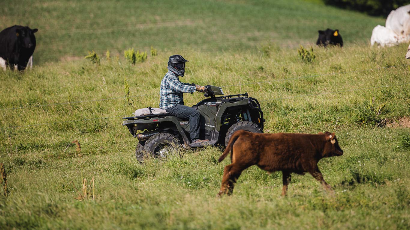 ATVs